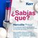 herculite--2-