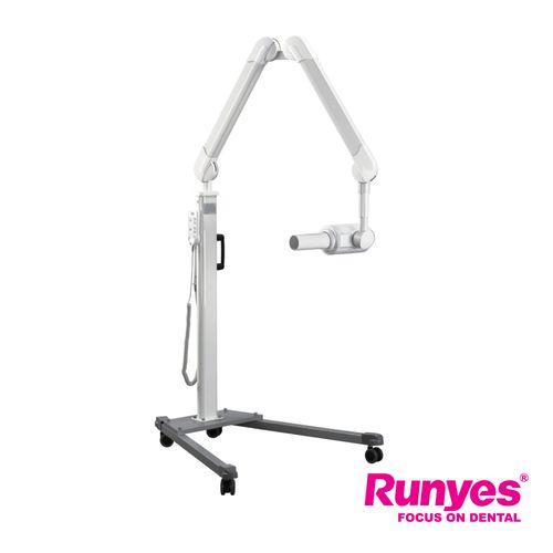 Runyes-07.jpg
