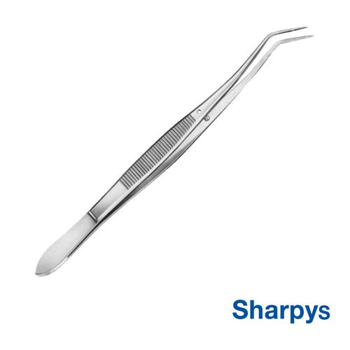 Sharpy-22.jpg